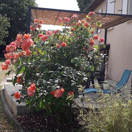 La Salamandre Bed and Breakfast Chazelles  Exterior foto